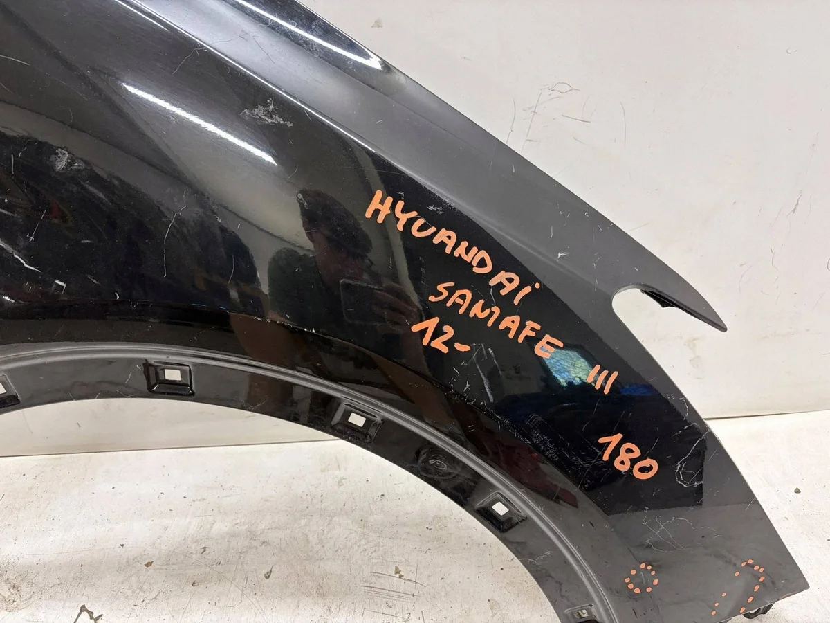 Hyundai Santa Fe III Kotflügel Rechts Vorne image 10