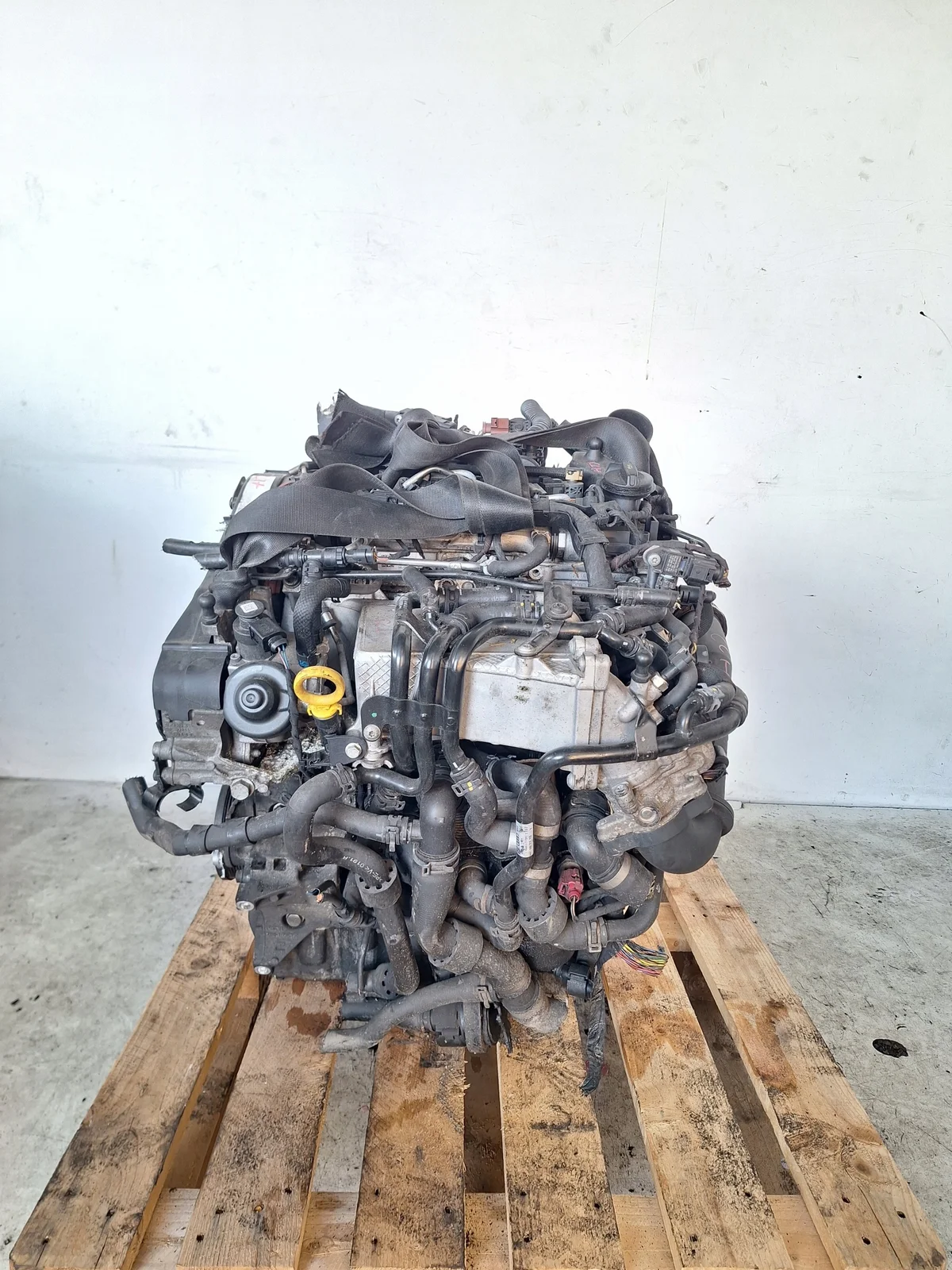 VW Seat Skoda Audi 1.6 TDI 105KM CLH Gebraucht