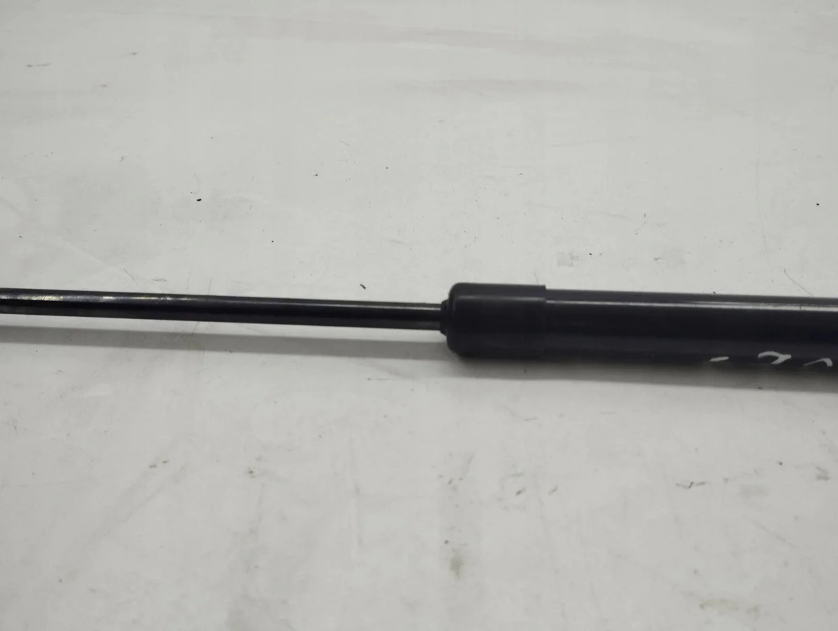 Nissan Juke F16 Gasveer Achterklep Links
