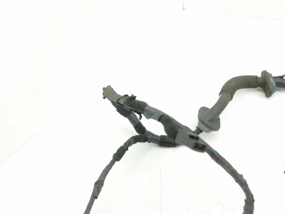 Hyundai Santa Fe 2007 Bagagerumskabel 916812B010 image 3