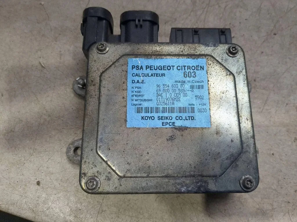 Módulo Dirección Asistida Peugeot 1007 9655460380