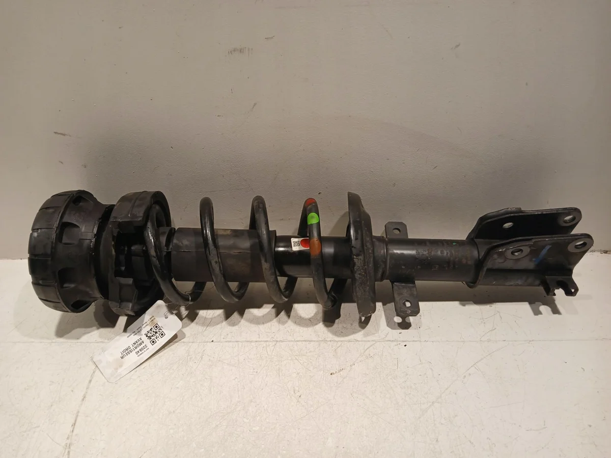 Amortiguador Delantero Renault Trafic III 543025946R