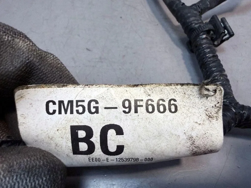 Ford Ecosport Einspritzdüsenleitung CM5G9F666 image 5