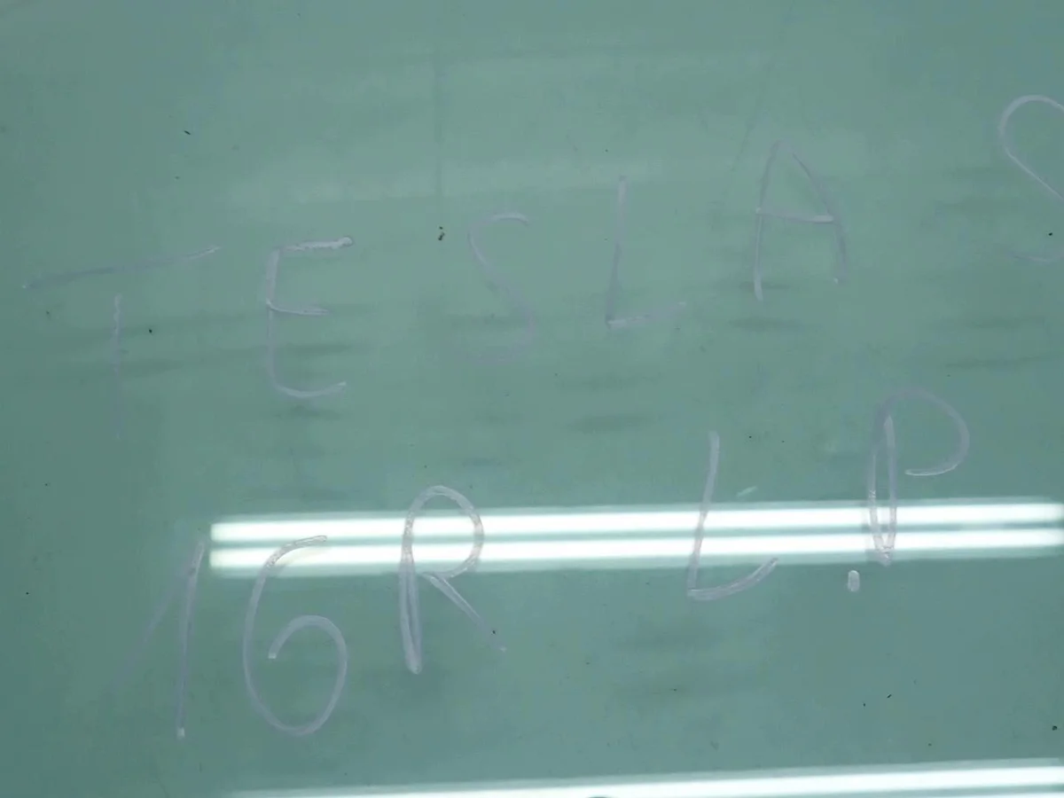 Vetro Porta Tesla Model S 2016 Sinistro image 3