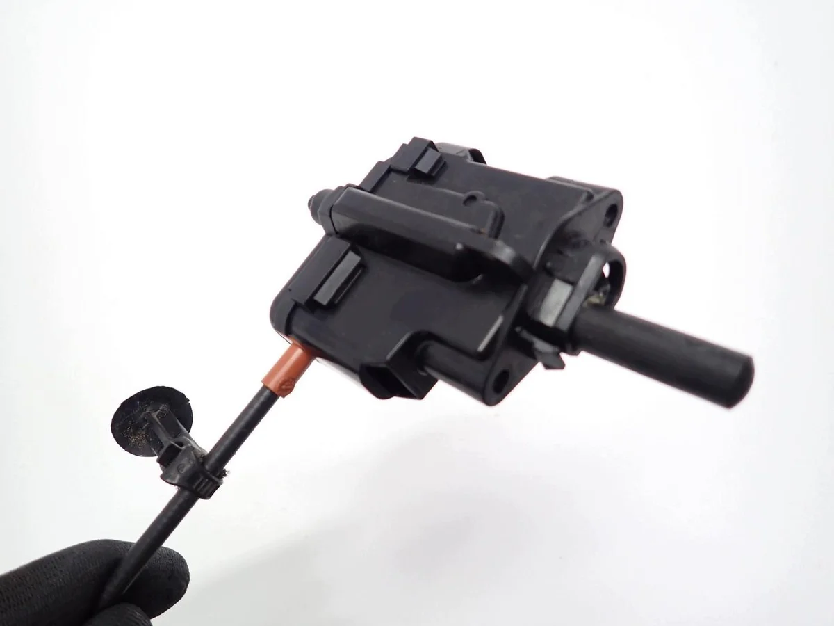 Türstopper hinten rechts Ford Focus IV Kombi image 4