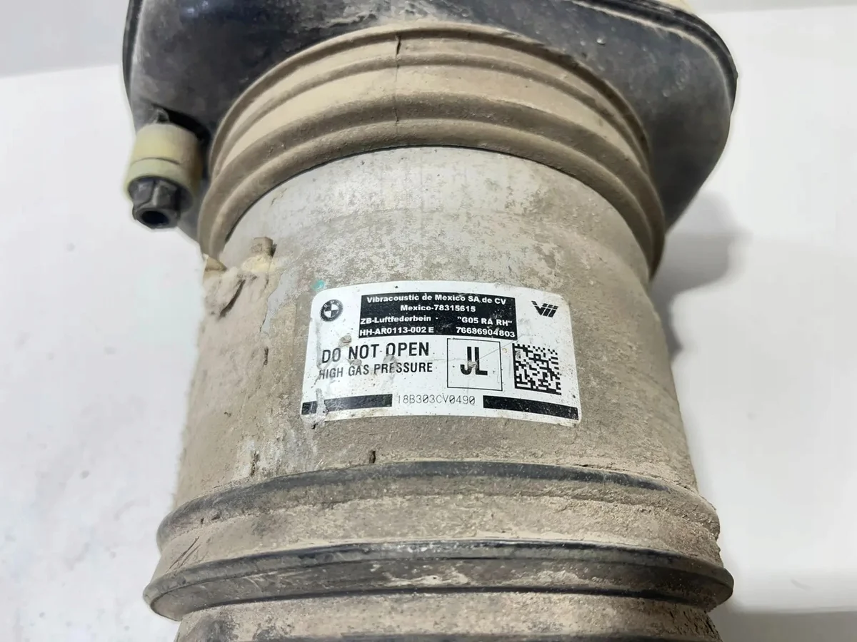 Amortiguador Neumático Trasero Derecho BMW X5 (G05) 6869048 image 6