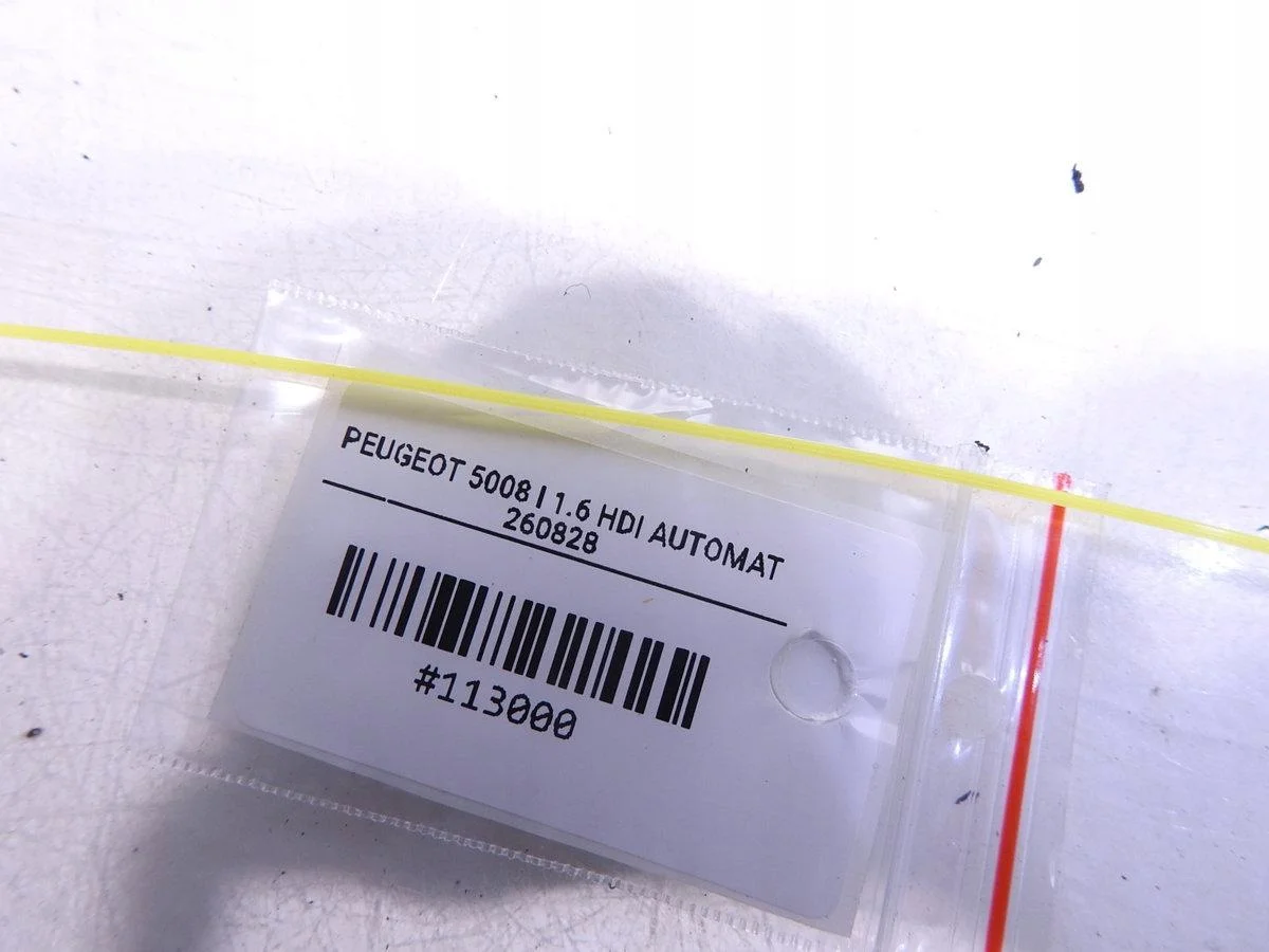Peugeot 5008 3008 FAP DPF Behälter image 4