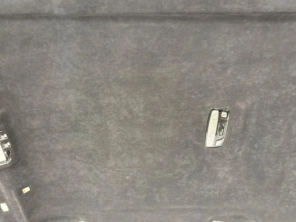 BMW M5 F90 Headliner 8069375 image 5
