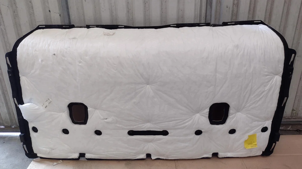 DAF XG Hemelbekleding 2238096 image 3