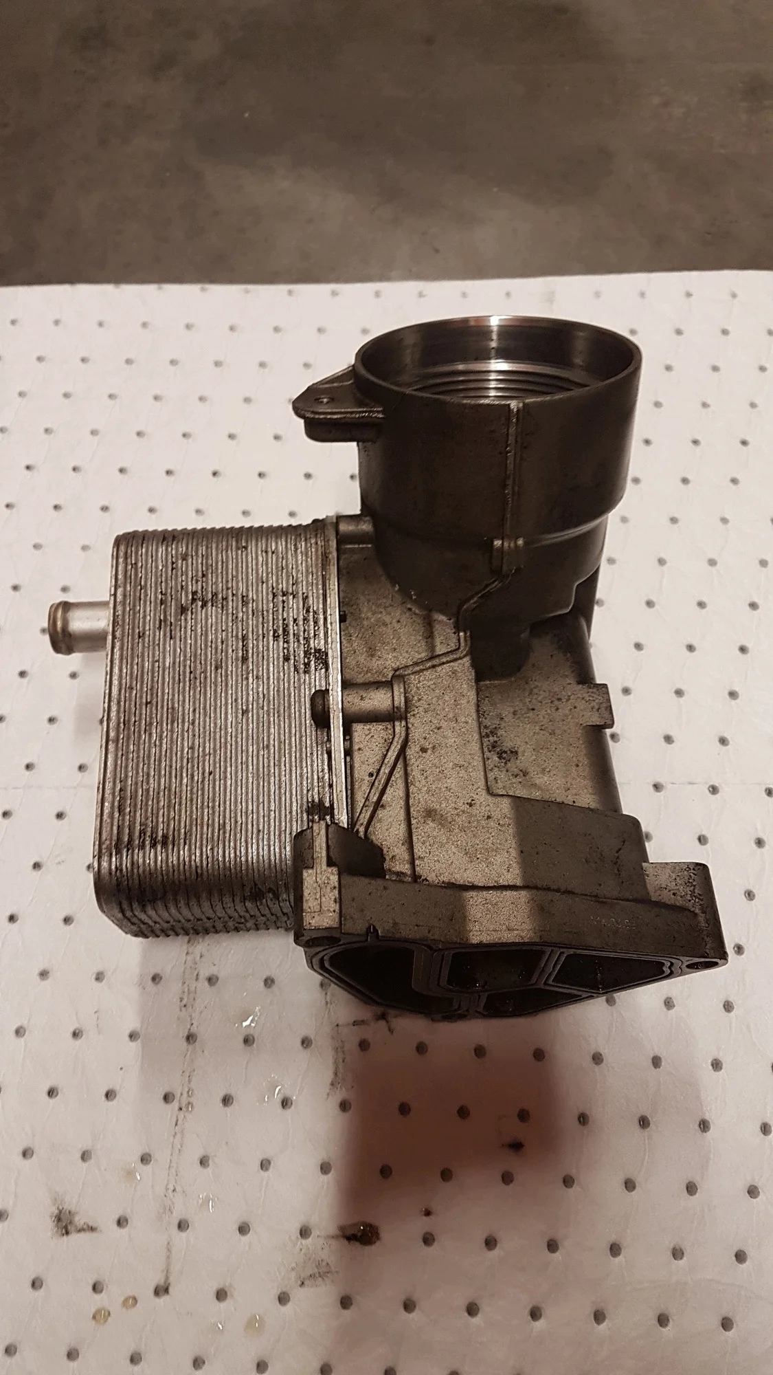 Radiador Aceite BMW 7 E38 11422247377