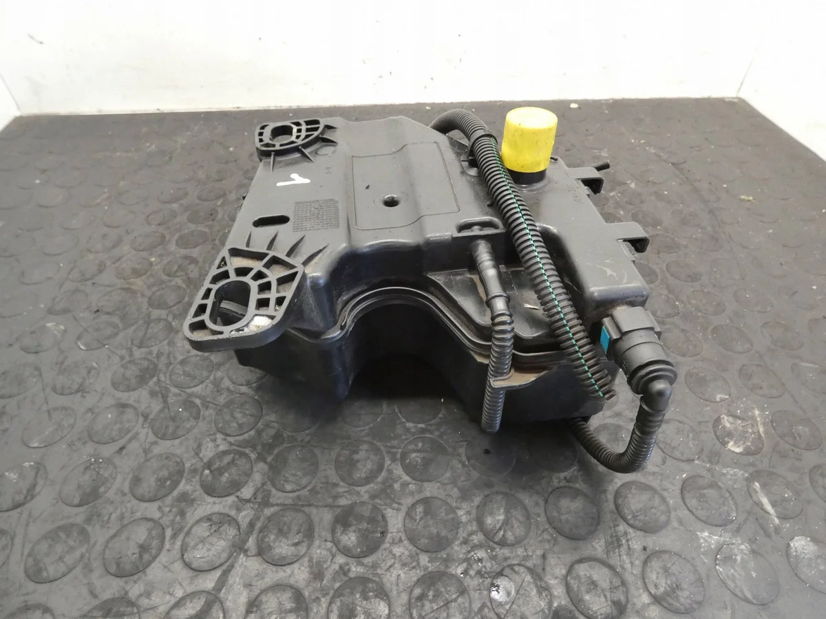 Citroen C4 Picasso FAP/DPF Behälter image 3