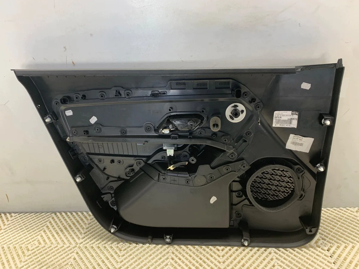 Panel puerta Dacia Duster 809103389R delantero derecho image 3