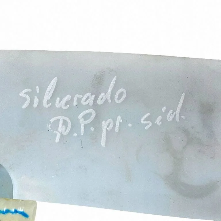 Sensore Sedile Chevrolet Silverado 84959584 image 4