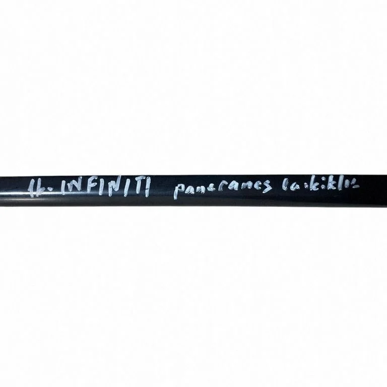 Infiniti QX30 Dachrahmen 732505DA0B image 7