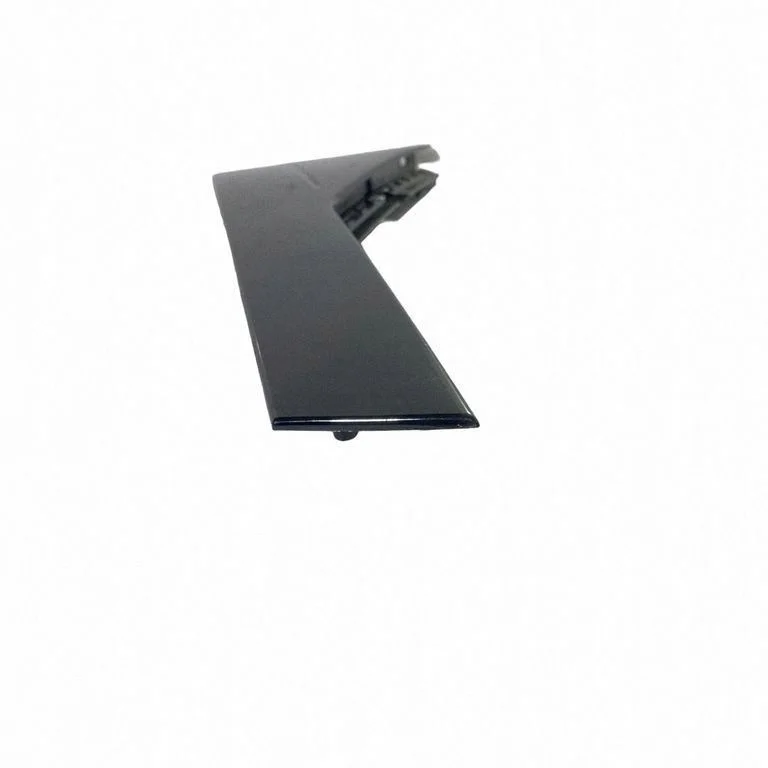 Ford Bronco 2021 M1PBS254A43AHW - Bandeau