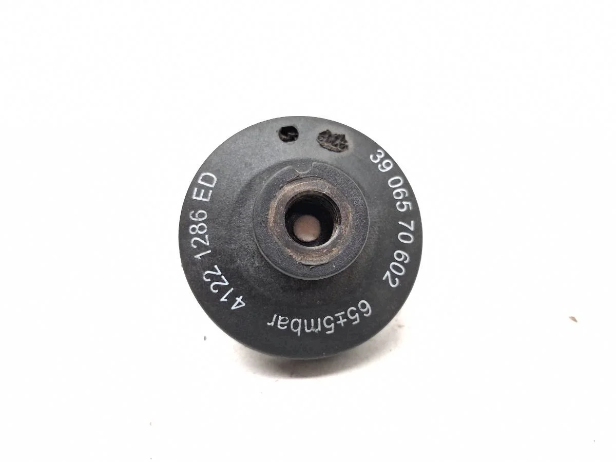 Sensor Filtro Ar Iveco Daily VI 41221286