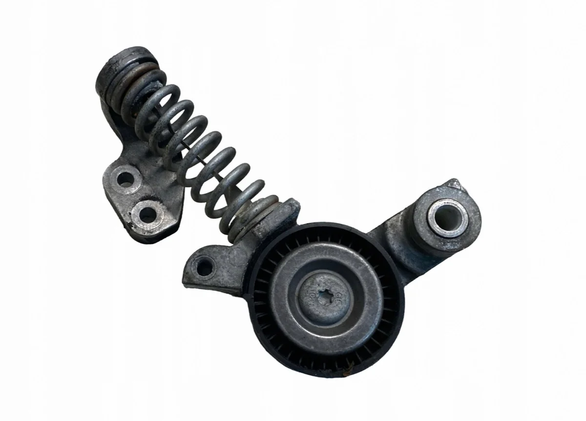 Volvo V40 Tendicinghia Alternatore 1003226
