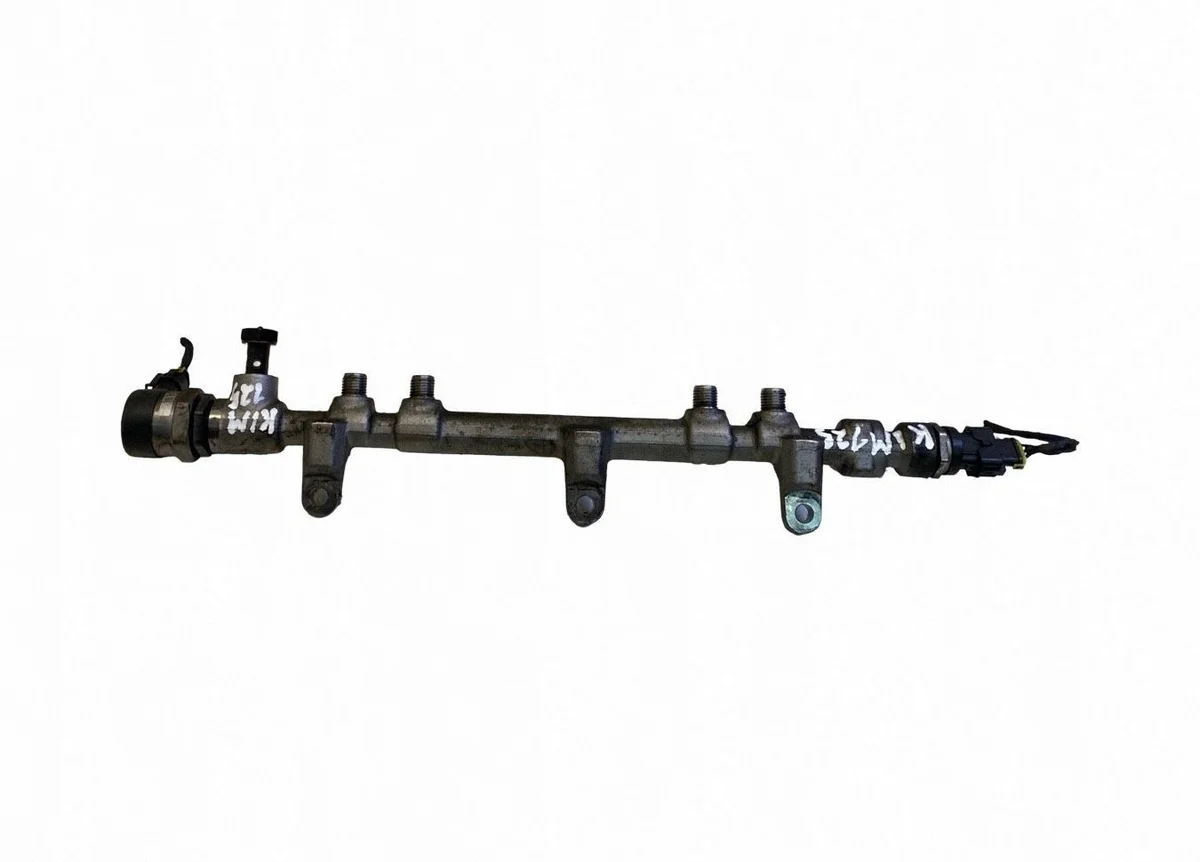 Hyundai Santa Fe Einspritzsystem 331002F000 image 10