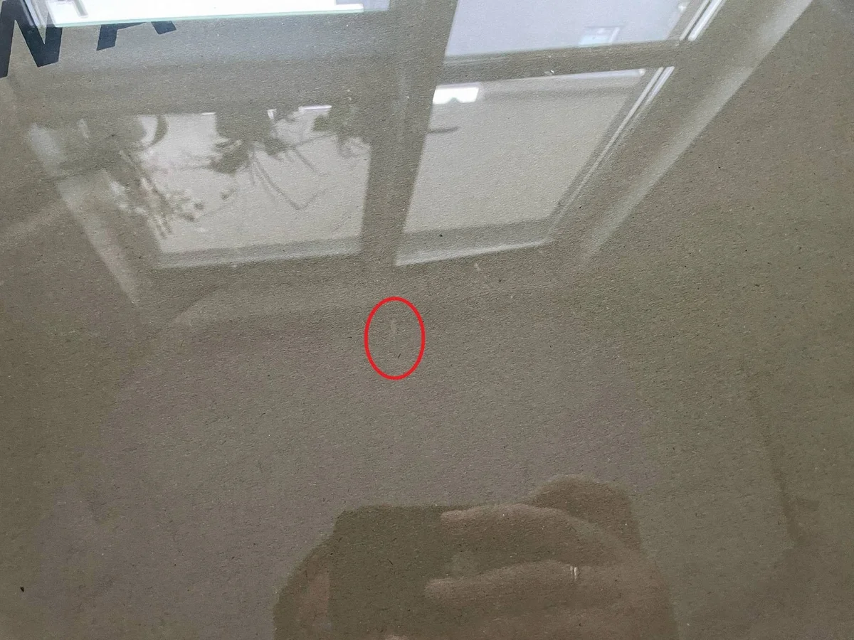 Fensterscheibe Tür vorne rechts Audi A6 S6 C8 4K0845022B image 7