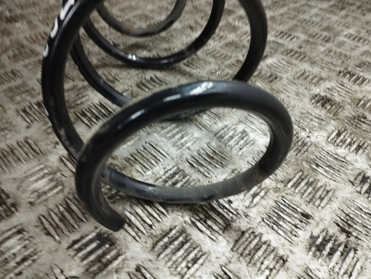 Front Coil Spring Toyota RAV4 (XA50) AMD143067 image 5