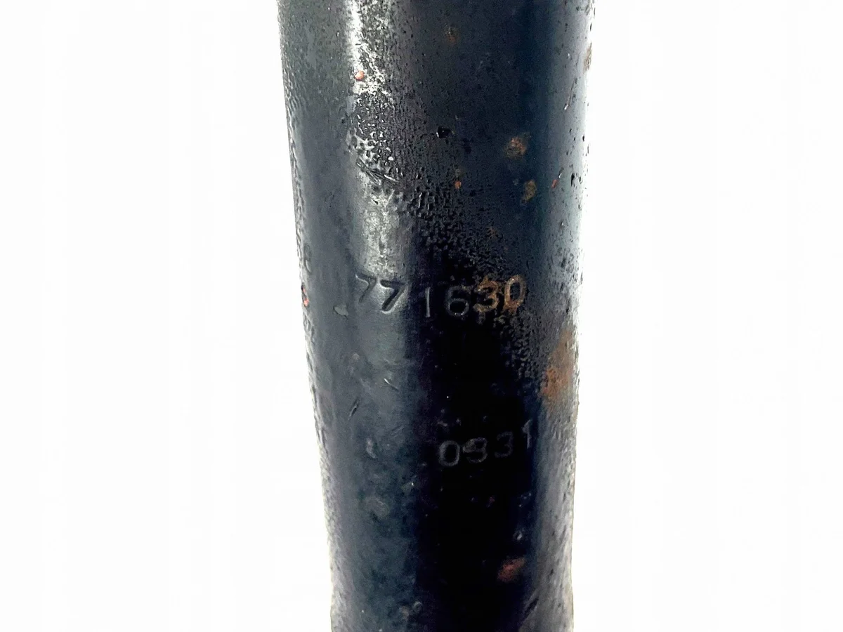 Rear Shock Absorber Iveco Daily 5801771630 image 6