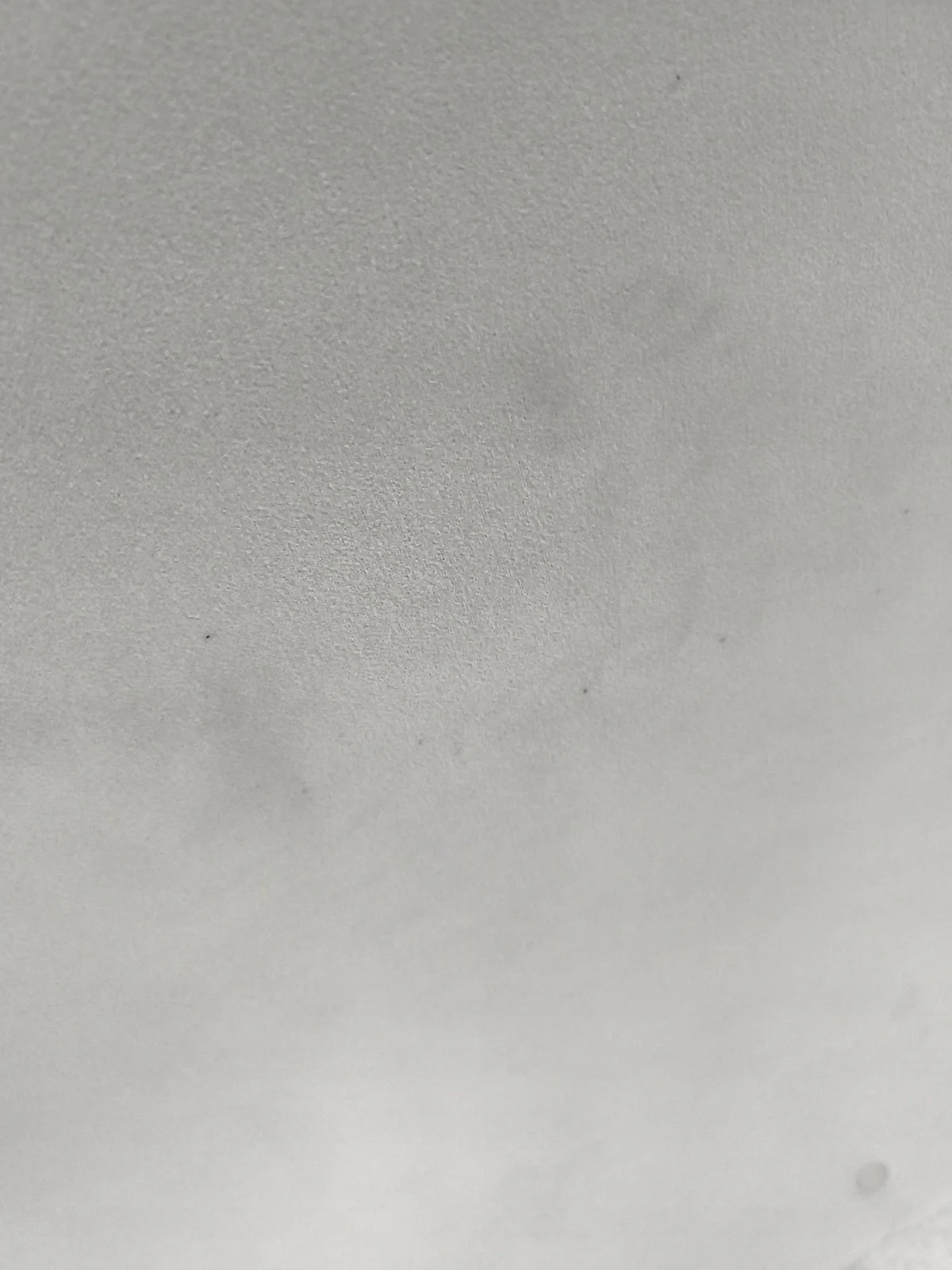 Cielo interno Ford Focus 7Y48335 image 7
