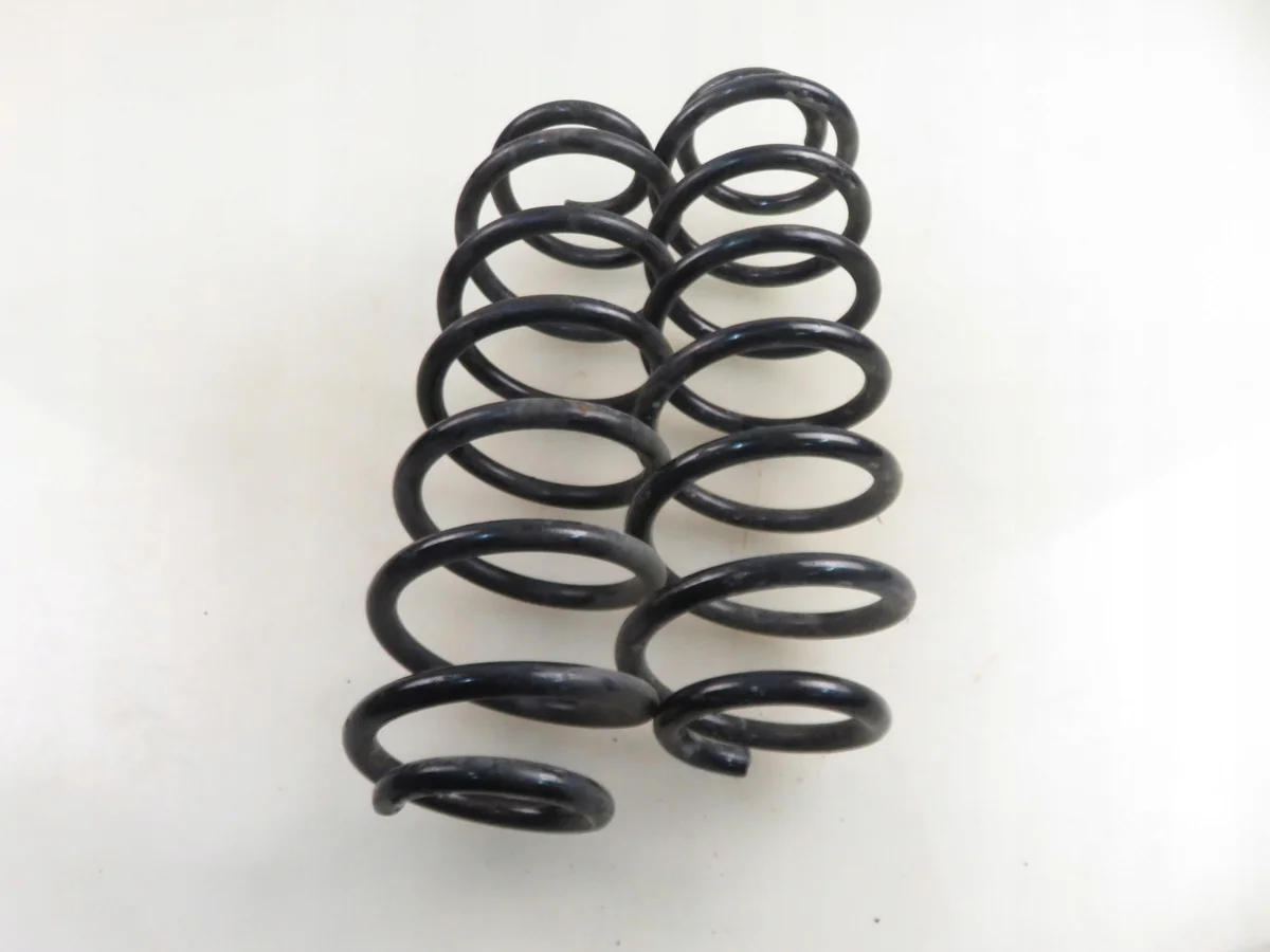 Muelle trasero Seat Leon M1064828-RH5535 image 5