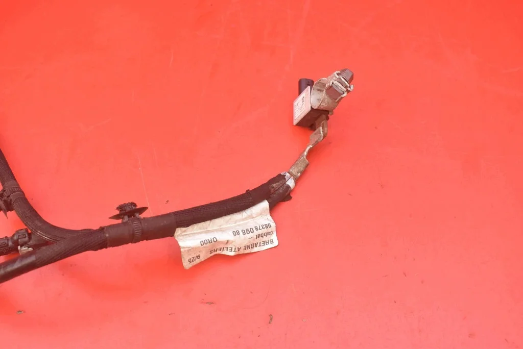 Borne negativo Opel Crossland 9837809880