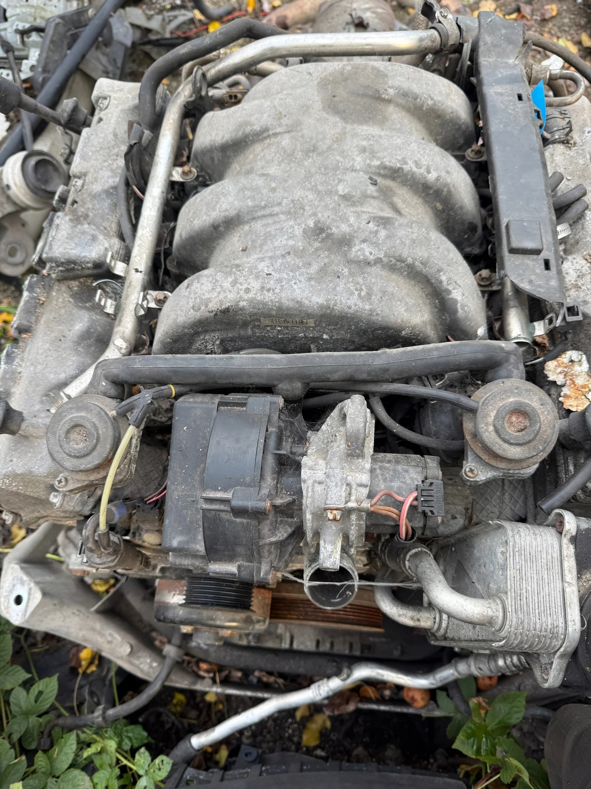 Engine Mercedes W220 S-Class 3.2 Petrol M112.944