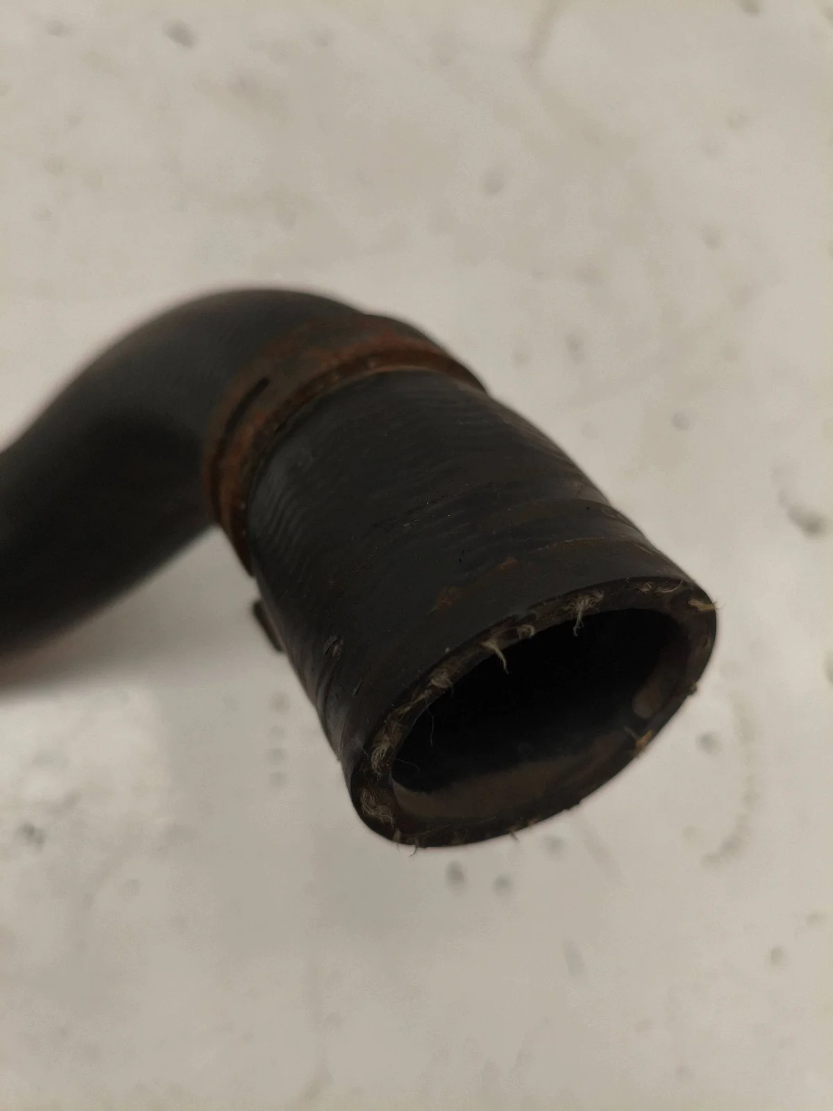 Kühler Wasserschlauch Opel Insignia B 39087125 image 6