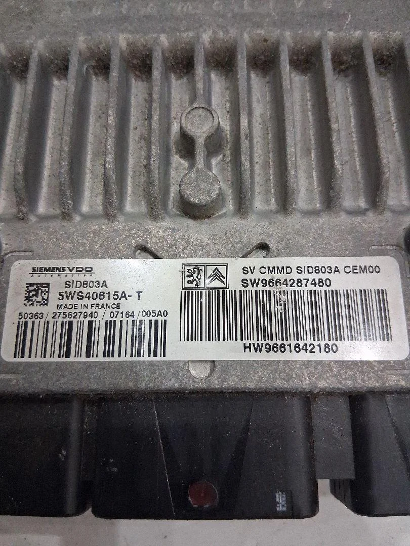 Citroen C4 Picasso Steuergerät 1.6 HDI 9664287480