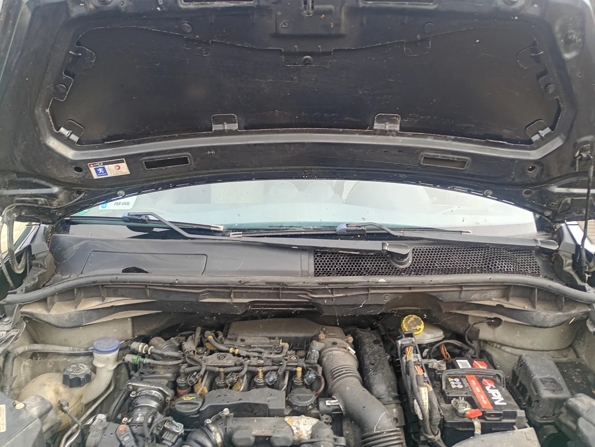 Peugeot 1007 Windlauf gebraucht