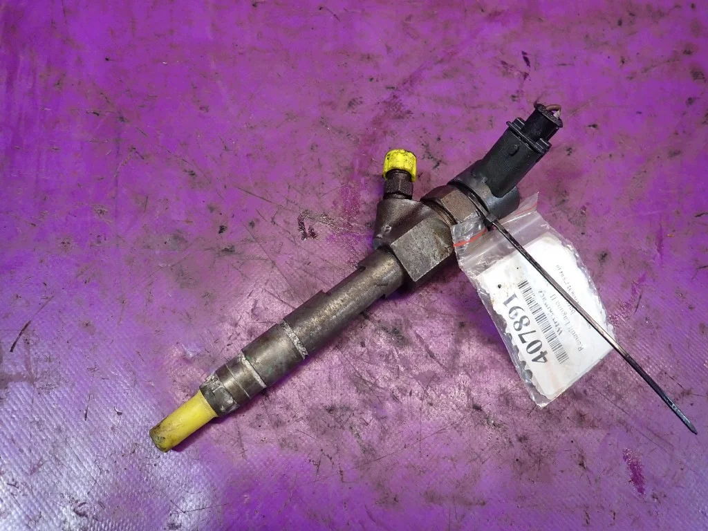 Renault Laguna II Inyector F9Q750 8200238528 BOSCH