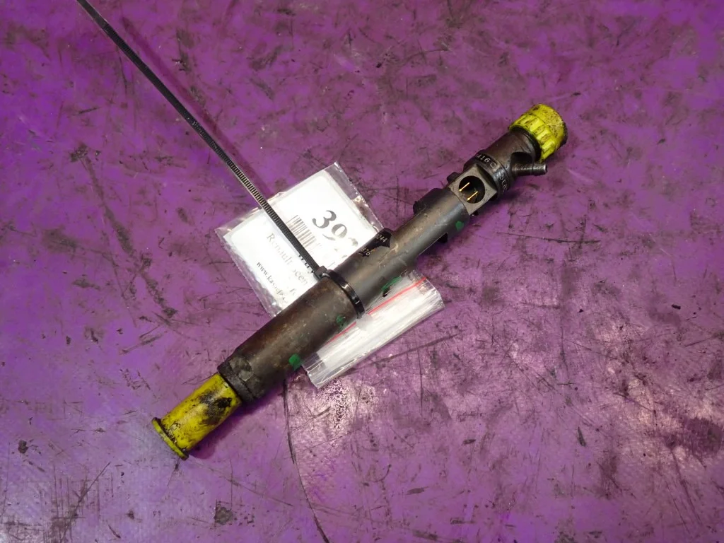Injector Renault Scenic II 1.5 dCi 8200240244