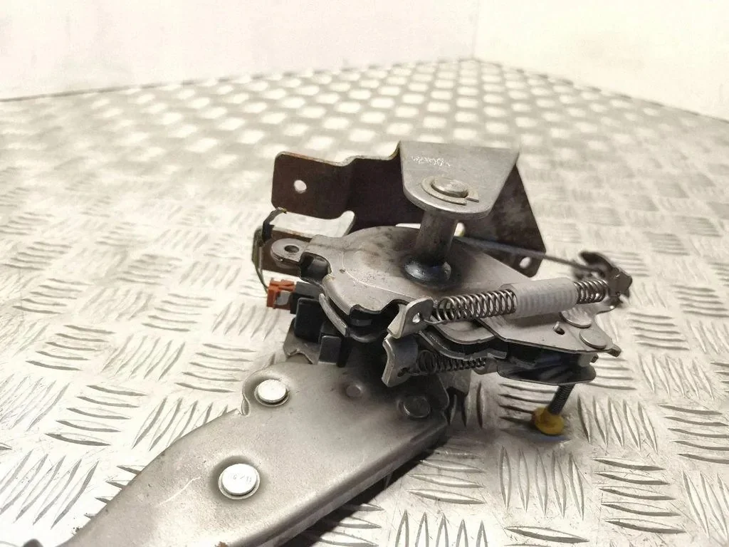 Citroen 96589873ZD - Componente Originale Usato image 3