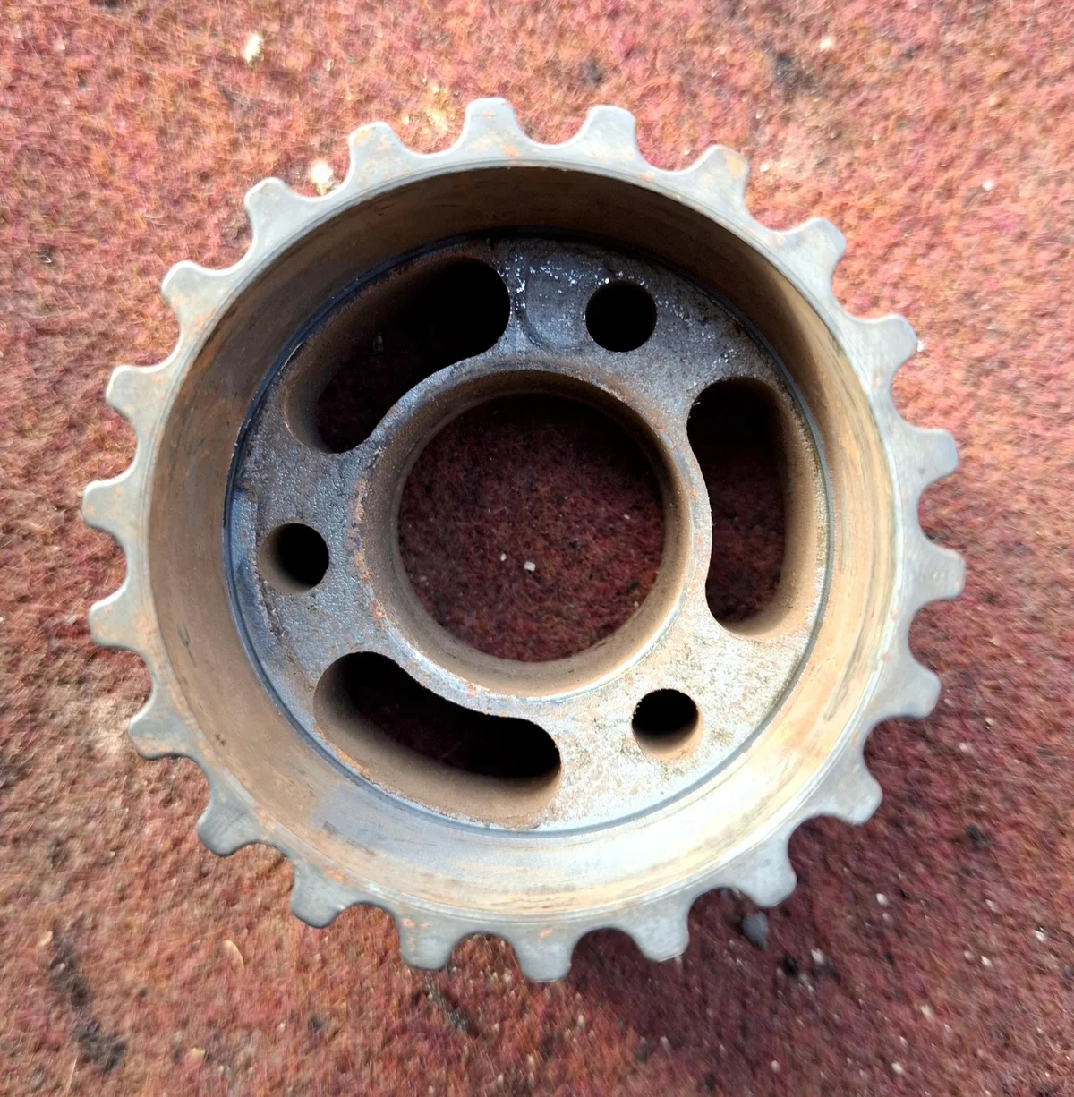Engranaje Bomba Inyección 03L130111D VW Golf VI