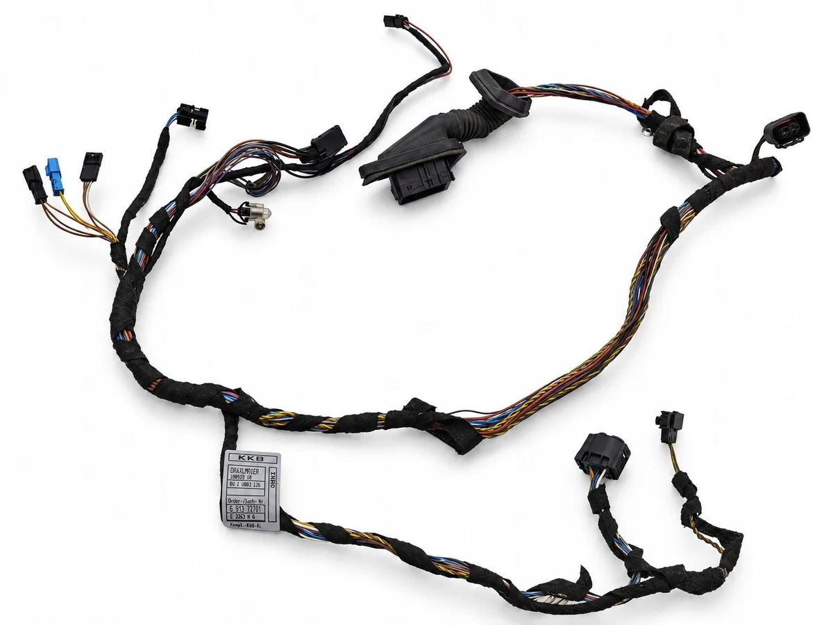 Cablagem Porta Dianteira BMW X5 E53 61126913727