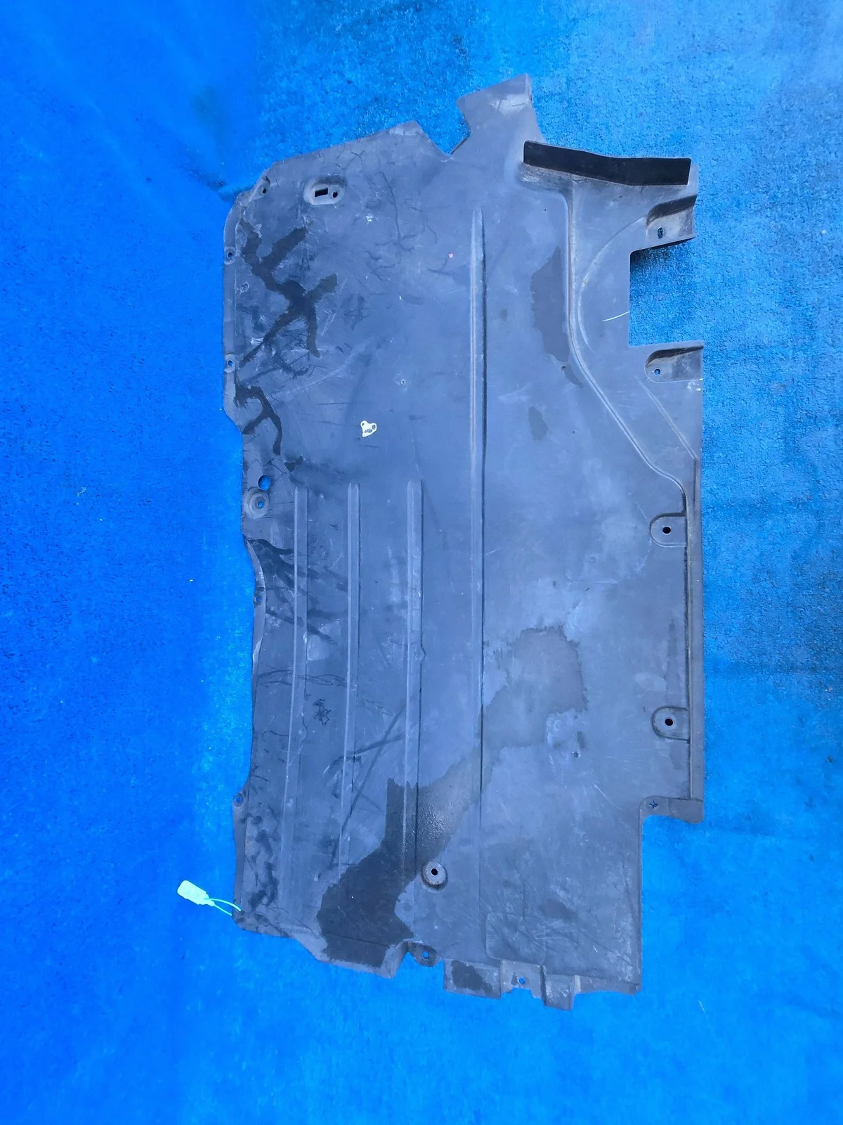 Copertura sottoporta BMW X5 G05 DWZ13366