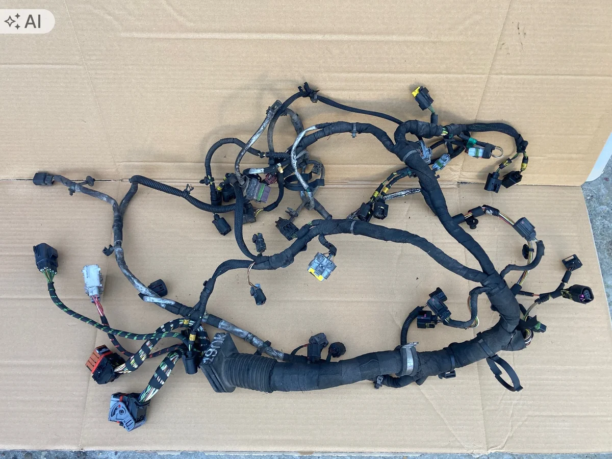 Arnés de motor Land Rover L322 3.6 TDV8 6H4Q-9H589-AA
