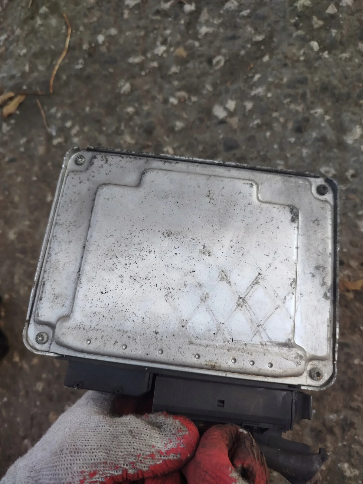Steuergerät Motor Seat Ibiza 1.9 038906019NE