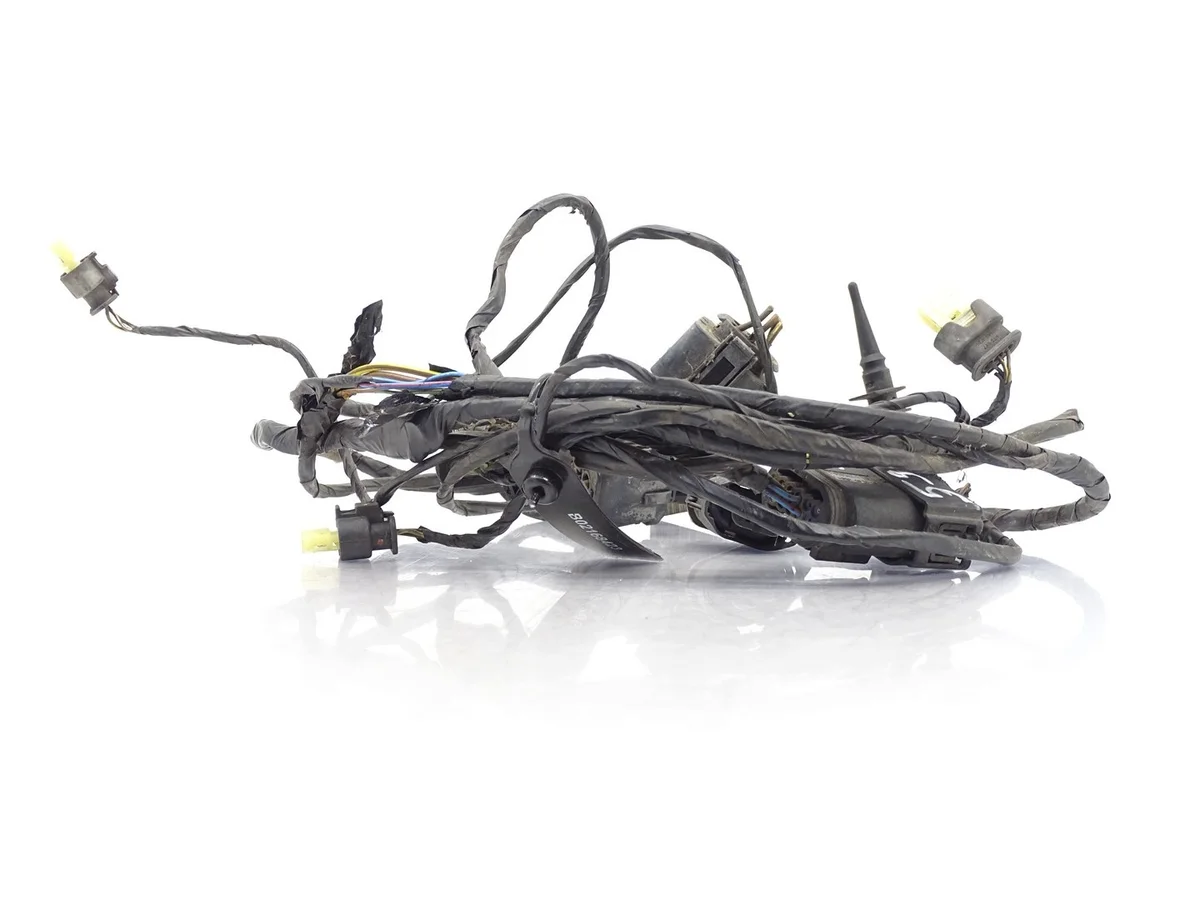 Cableado Sensores PDC BMW X3 F25 9243643