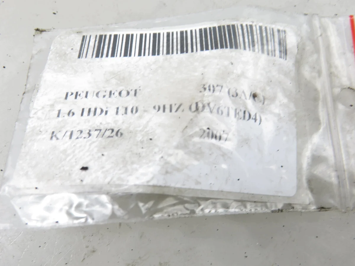Fuel Injector Peugeot 307 1.6 HDi M1149875-0445110188