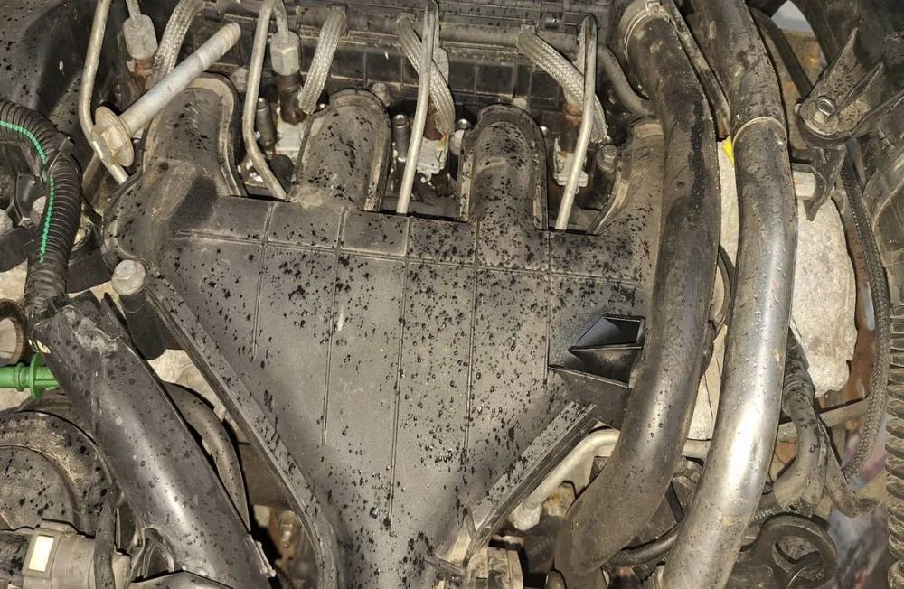 Citroen C5 Intake Manifold EIS3123814 thumbnail 3