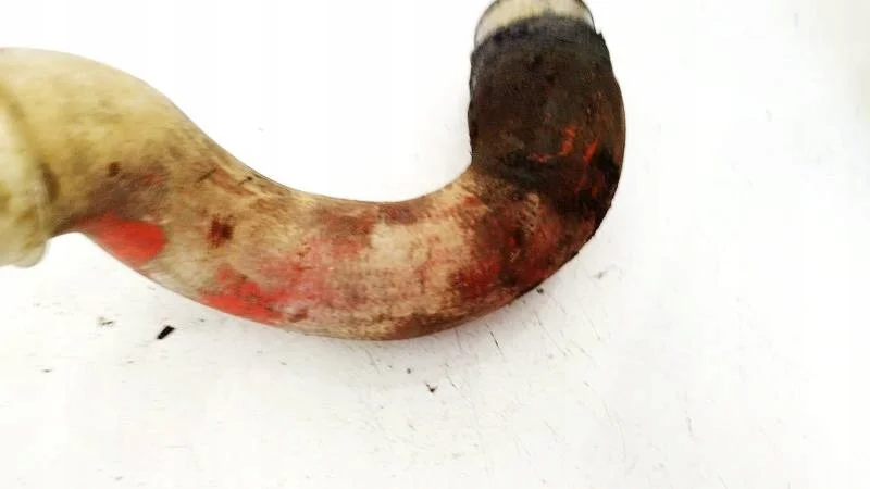 Putki välijäähdyttimelle VW Skoda Audi 038131111A