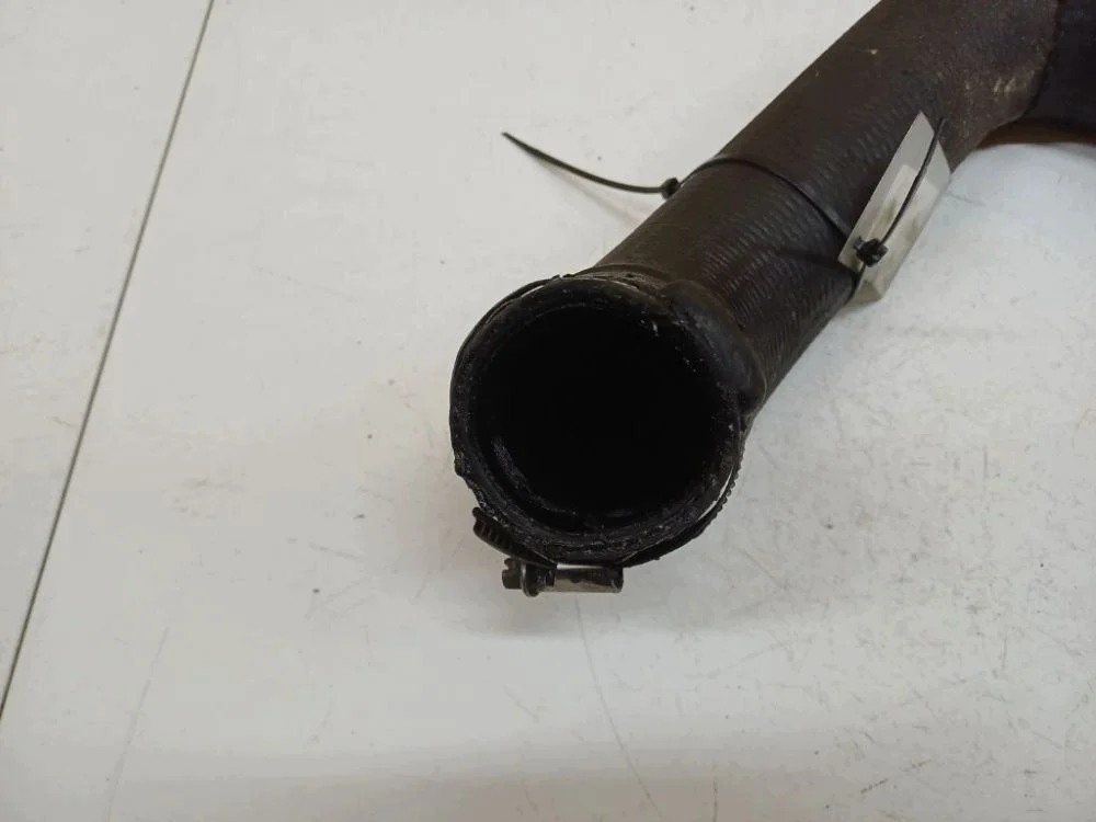 Intercoolerslang Citroen C5 EIS3105781 image 3