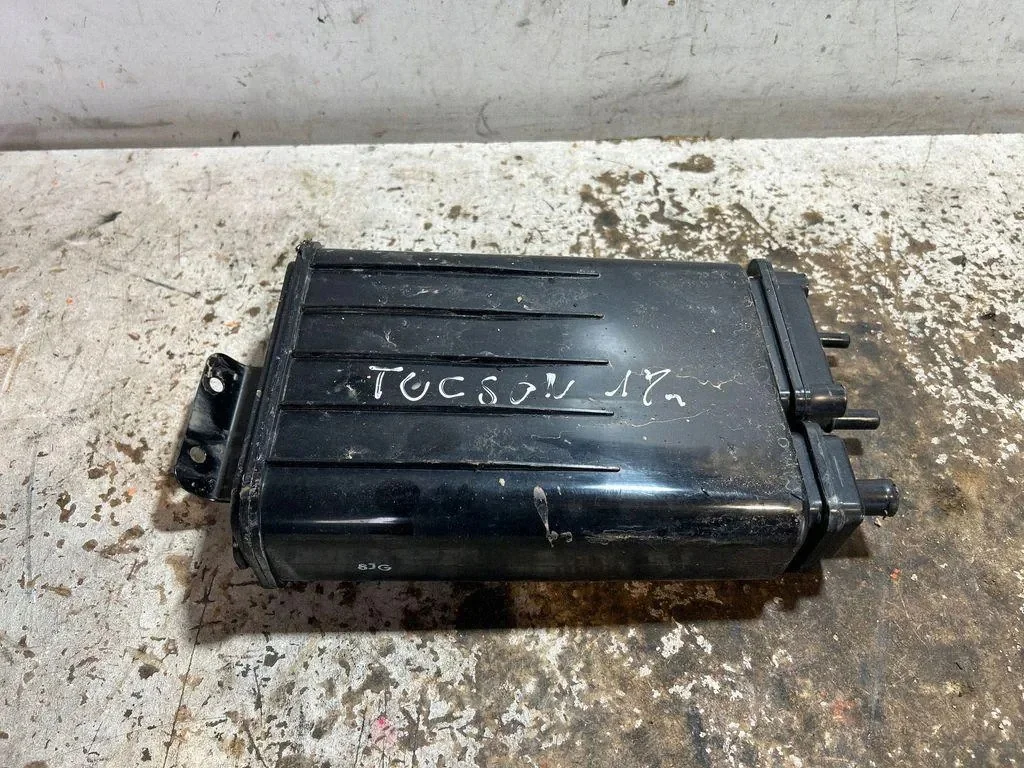Filtro Carburante Hyundai 31420-D7000