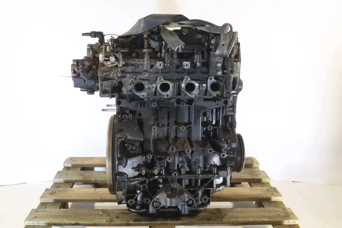Motor Renault Espace IV 2.0 dCi M9RR image 3