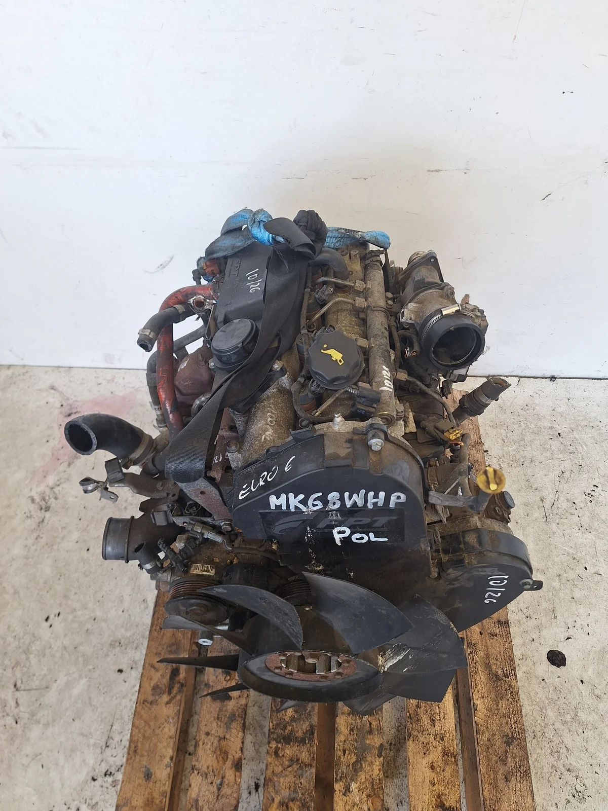 Moottori F1AGL411H Iveco Daily 2.3 HPI