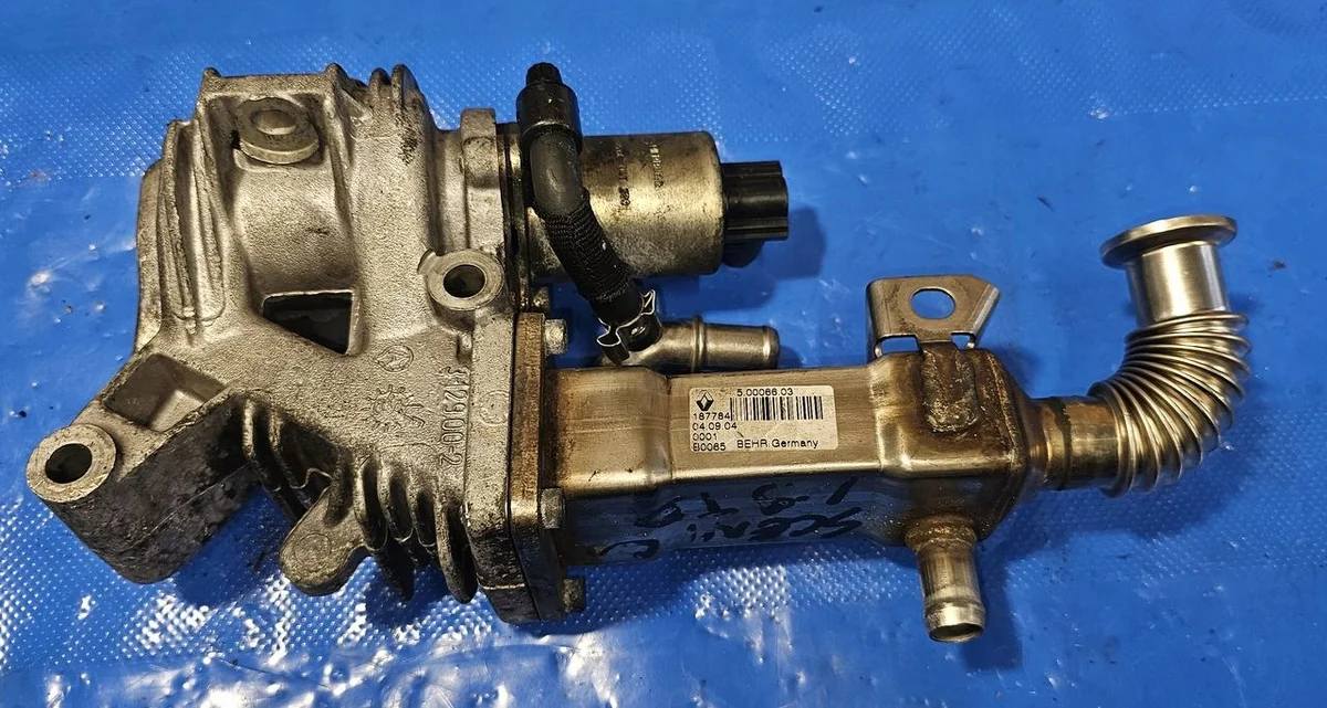 Radiatore gas di scarico Renault Scenic Megane 1.9DCI 50006603
