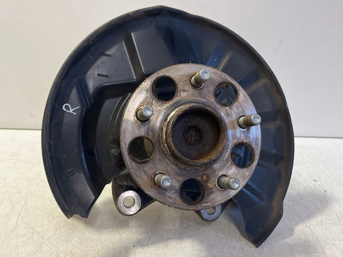 Lexus ES 300h Piastra Ruota Posteriore Destra 8954433020
